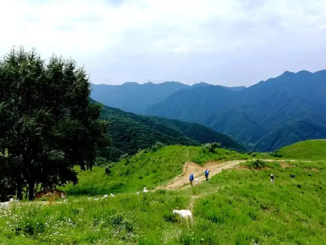 流峪寺草甸一日游