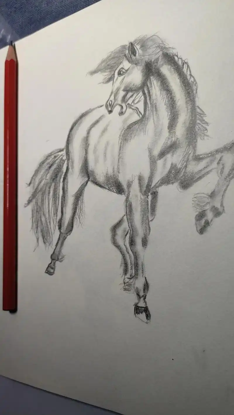素描 #素描动物 #马 #画马 #画画 2 b铅笔 - 抖音