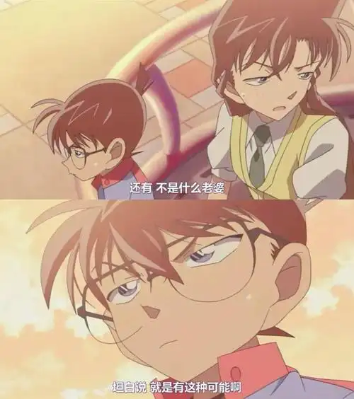 你最喜欢柯南中哪张截图