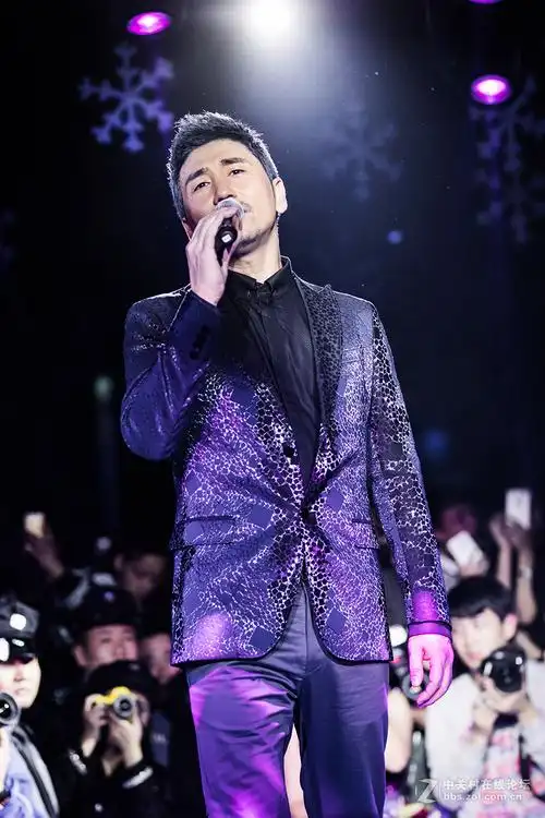 蒙面歌王沙宝亮