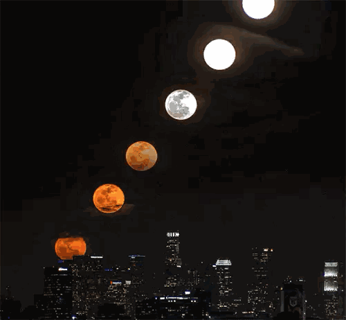 500_462gif 动态图 动图