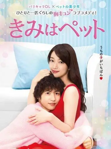 宠物情人手机完整版下载-电视剧-迅播别怕