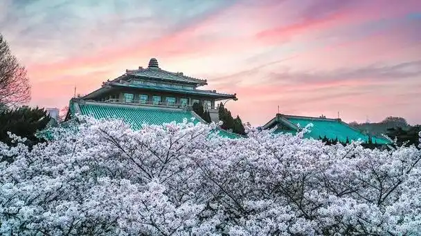 武汉大学校园风景如诗如画,被誉为中国校内风景最美的大学之一.