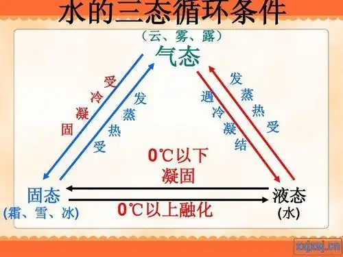 科学《水的三态》