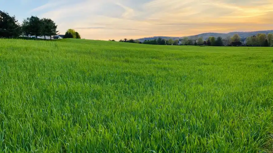 我的两个乖乖孙儿(2)夜行军