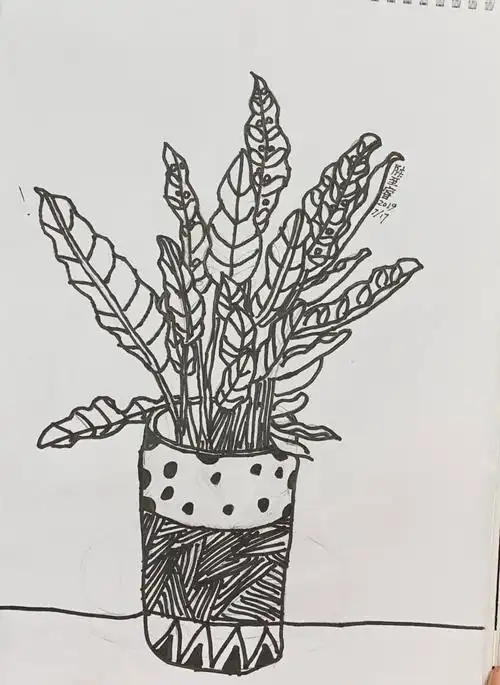 真谛画室2019暑期线造型作品选(之一)