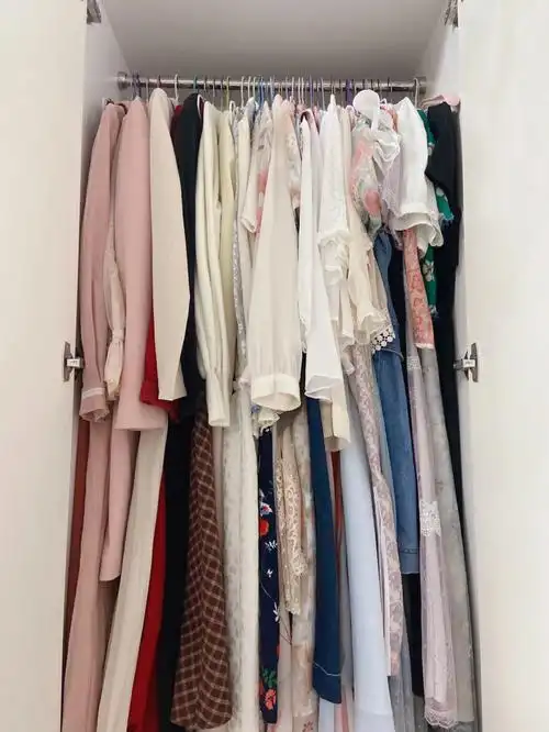 夏天的100条裙子这是其中一个衣柜的一半每年都说不能再买了…这个