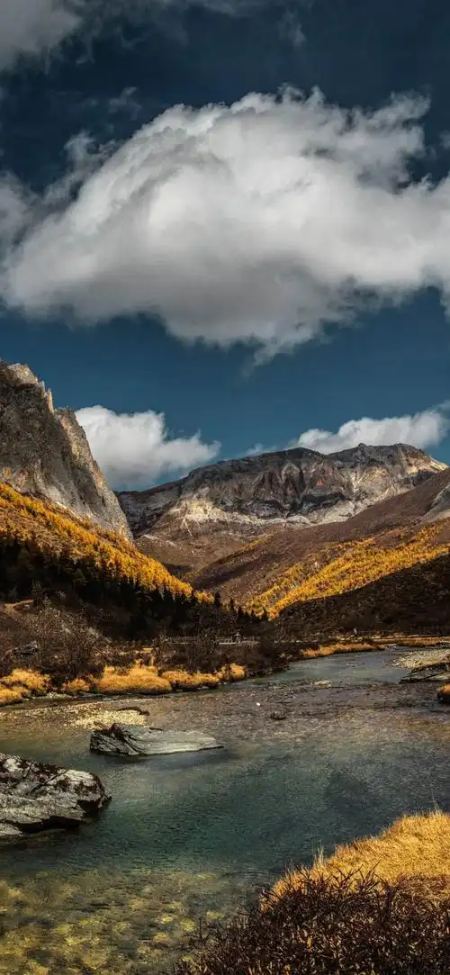 发壁纸了 - 华为mate30系列应用资源 花粉俱乐部