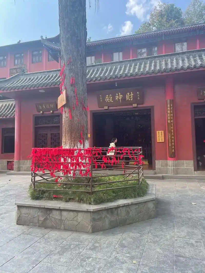 财神殿里我长跪不起 求姻缘的菩萨我看都不看 可路过观音寺我还 - 抖