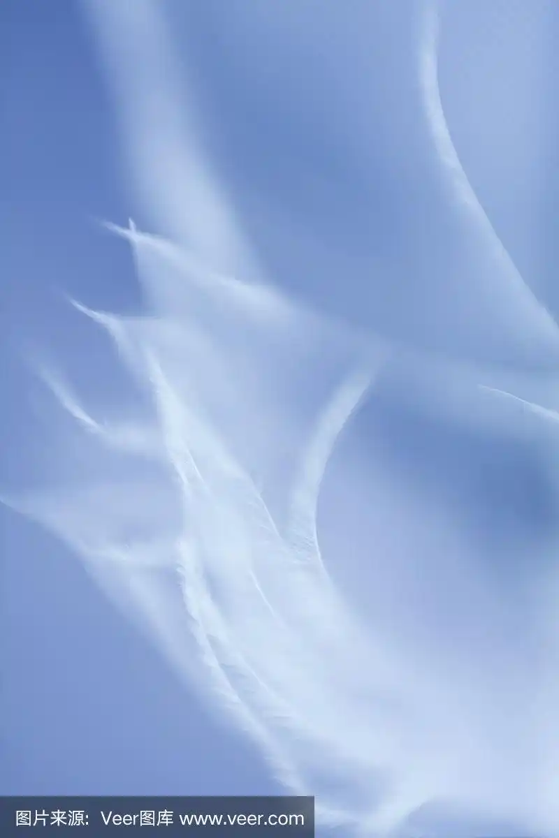 浅蓝色羽毛背景.不聚焦的羽毛纹理.