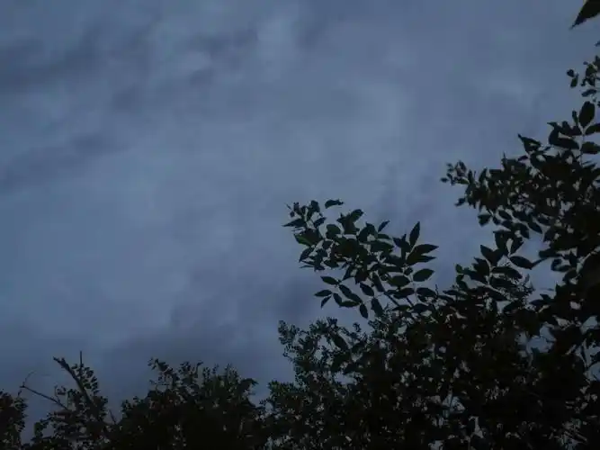 阴天随笔 - 简书