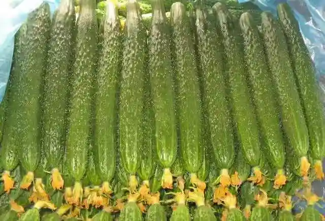 被称为菜市场最毒的三种菜,看你买过多少,常吃会致癌!