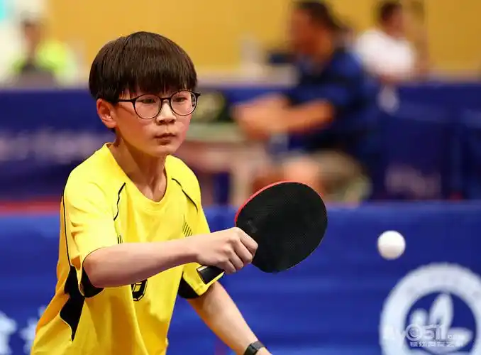 丹徒区小学生乒乓球比赛圆满结束