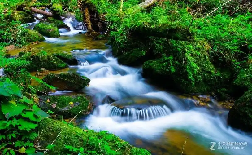 一条小河 日夜唱着歌儿静静地流淌