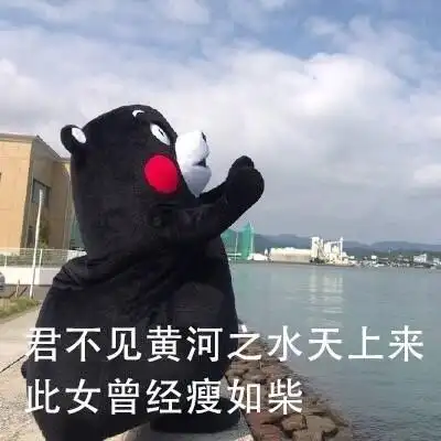 君不见黄河之水天上来此女曾经瘦如柴表情包素材搞笑图片表情