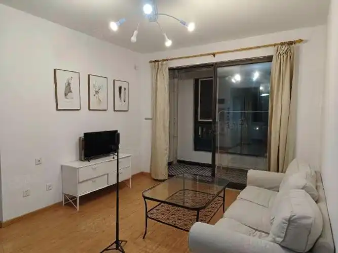 优惠4百泗泾新苑西区va核验2房泗泾地铁5百米办居住证实图