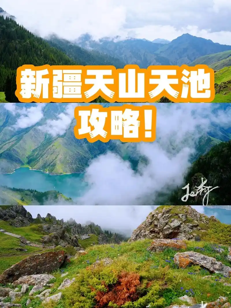 新疆天山天池景区省钱攻略!这样玩就对了.新疆非常适合自驾游, - 抖音