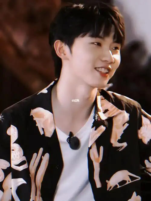 马嘉祺好喜欢穿花衬衫的嘉祺哥哥