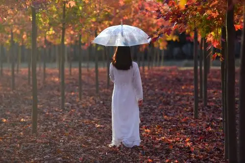 再也没人为我撑起的雨伞