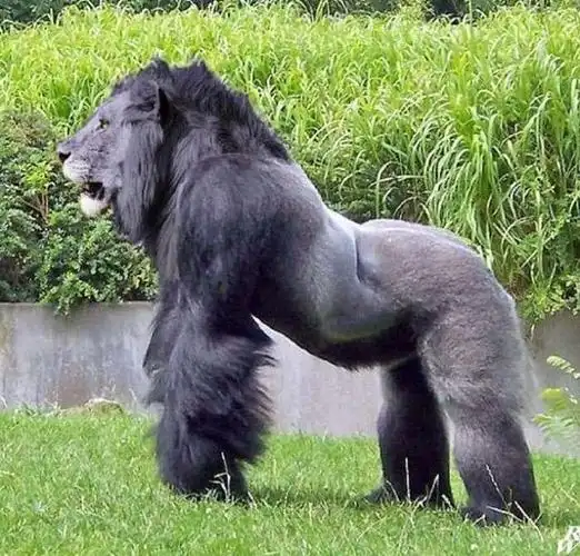 世界上最奇异的几种变异动物