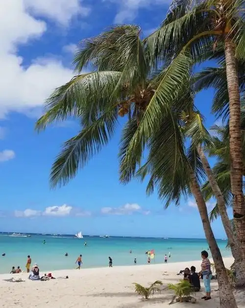 图源:ins_shell_santos 桑伍德湾海滩, 英国苏格兰