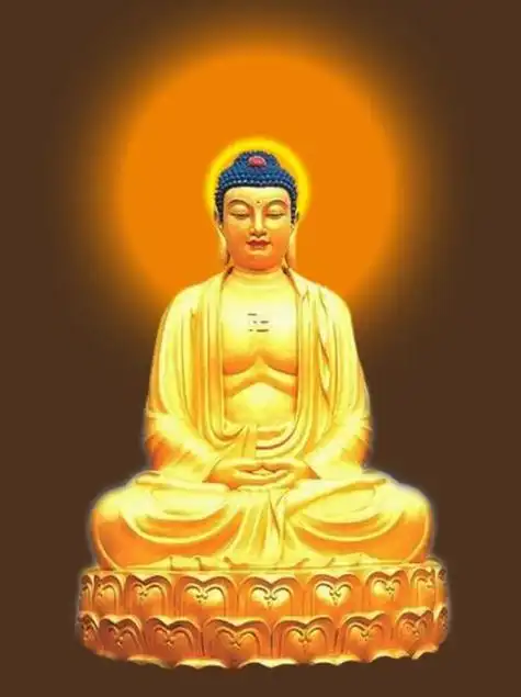 被称做佛的:是指无论智慧与悟性都已达到最高境界的觉悟者.