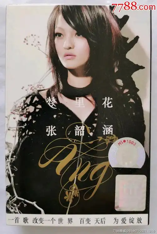 《梦里花》(张韶涵)