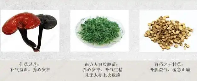 安神|滋补|脾胃|酸枣仁|柏子仁_网易订阅