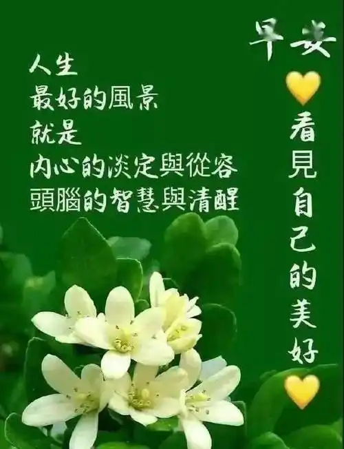 8张创意唯美的夏天清新早上好图片带字带祝福语好看的夏日清晨早安