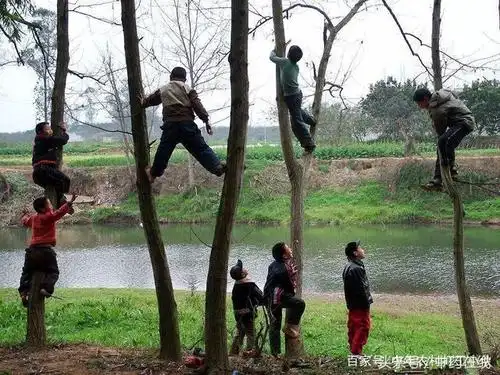 记忆中90年代农村童年时光