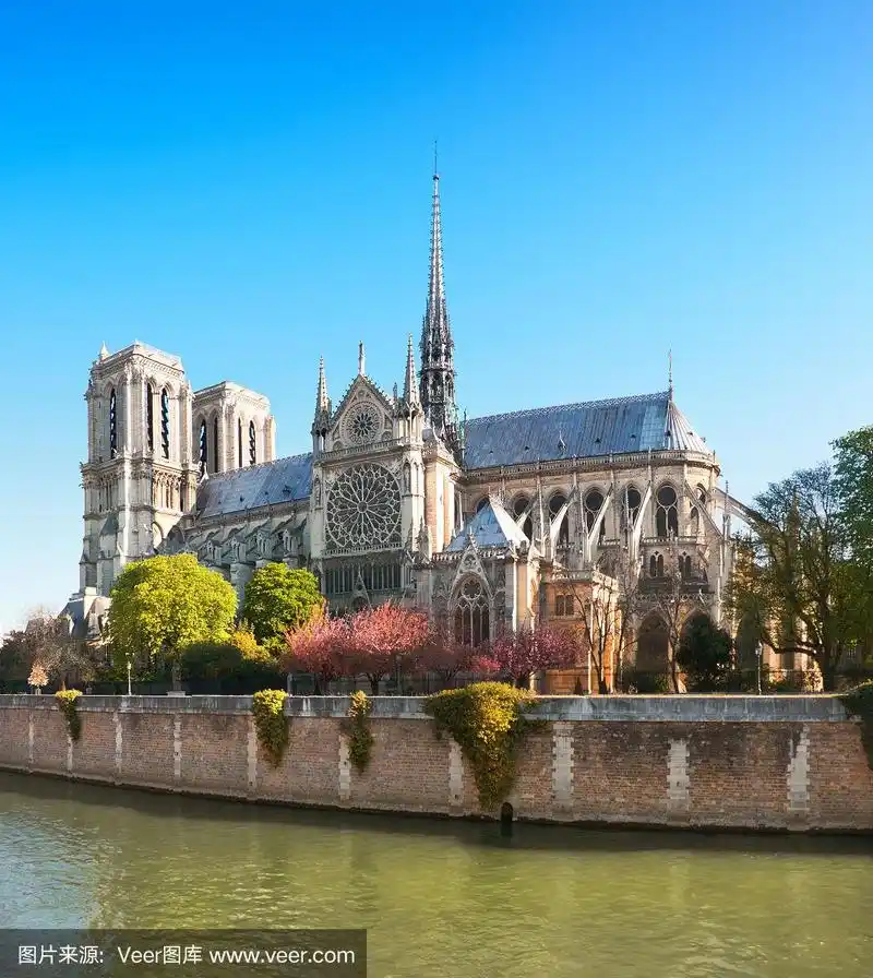 春天,巴黎圣母院,全景,前面,国际著名景点