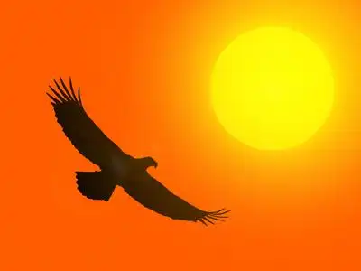 背影夕阳卡通图片