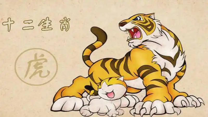 属虎女和属鸡合不合(属鸡女和属虎的合不合)