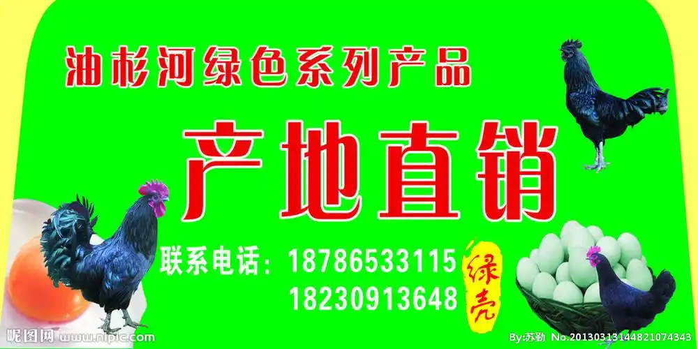 鸡产地直销图片