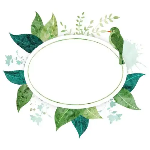 当前素材:小清新水彩叶子标签图片