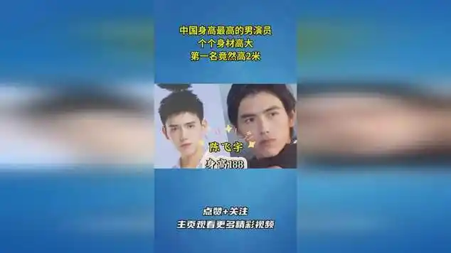 中国身高最高的男演员,个个身材高大,第一名竟然高2米_网易视频