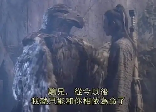 《神雕侠侣》中的"雕兄"去哪里了?