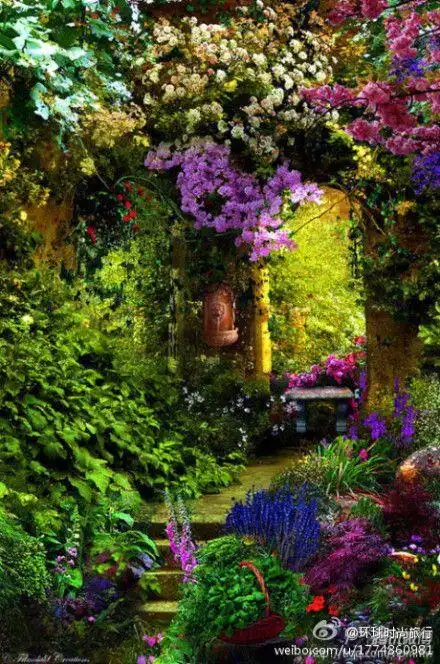 法国.普罗旺斯花园的入口.令人窒息的美丽.