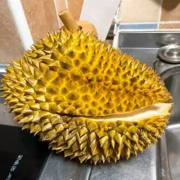 cv倔强的小红军