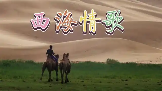 刀郎深情演唱西海情歌难忘心中的那个她