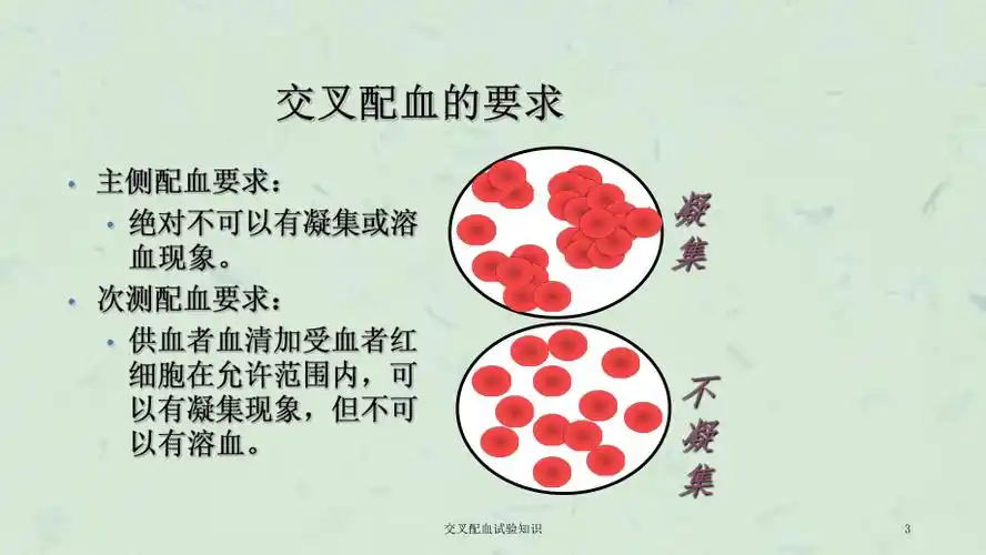 交叉配血试验知识课件