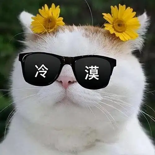 搞笑头像努力的事情都有一个浪漫的结果