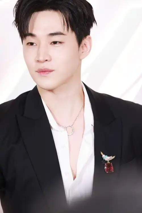 上海tiffany活动henry刘宪华  发电厂饭拍 495    刚刚有人说你帅!