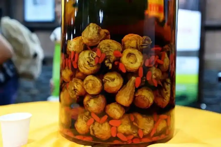 新疆人千万别信养生酒药酒都是骗鬼的喝酒没有任何好处