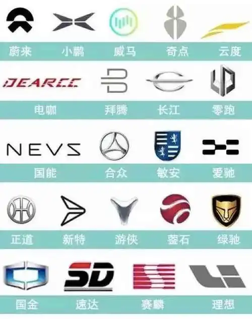 (中国市面上目前新兴起的一些电动车品牌)