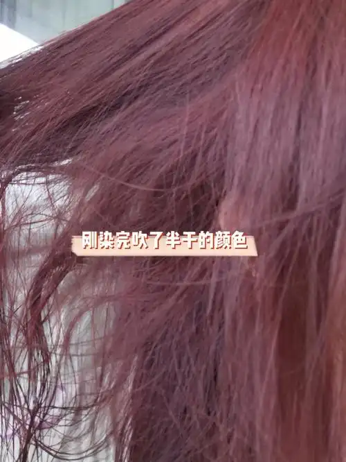 施华蔻泡泡染发剂香槟酒红