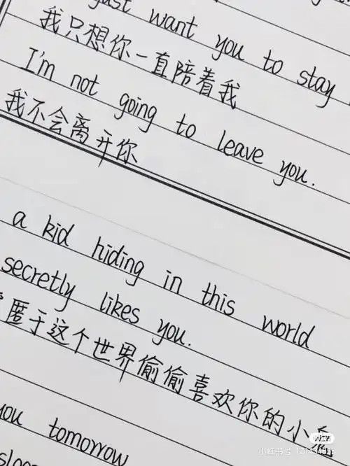 手帐句子也可以用英语写