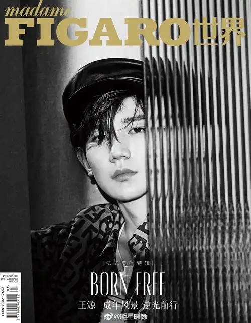 王源《madame figaro》2019年1月刊,少年大胆尝试不同风格