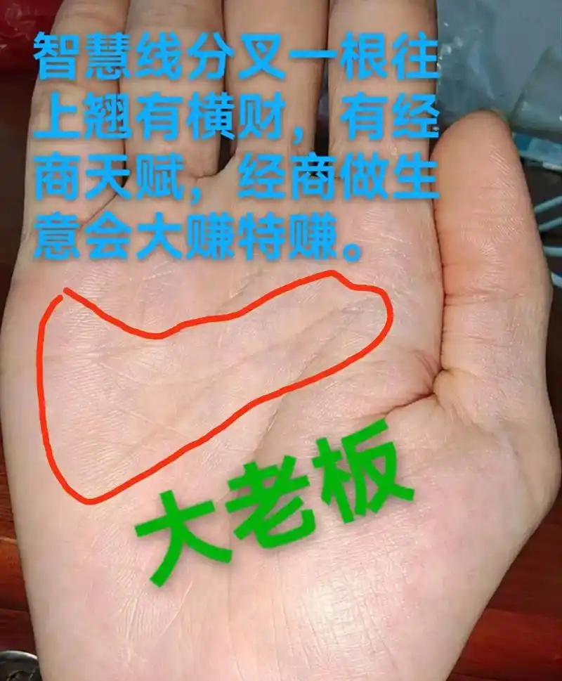 掌纹的秘密 #感情 #婚姻 #爱情 #旺夫女人  这个友友 - 抖音