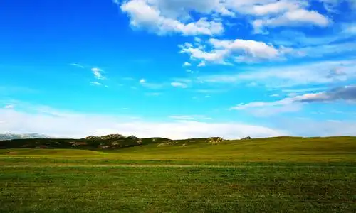 清晰迷人的草原自然风光